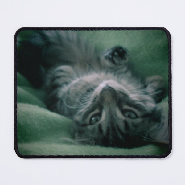 Item preview, Kitten designed and sold by mjmaltais.