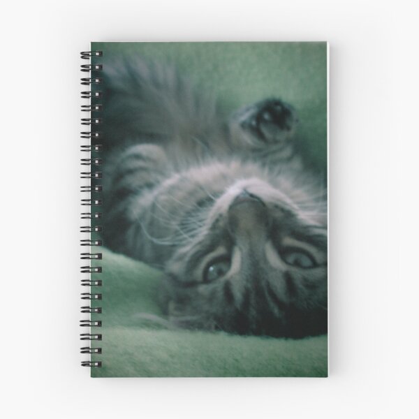 Item preview, Kitten designed and sold by mjmaltais.