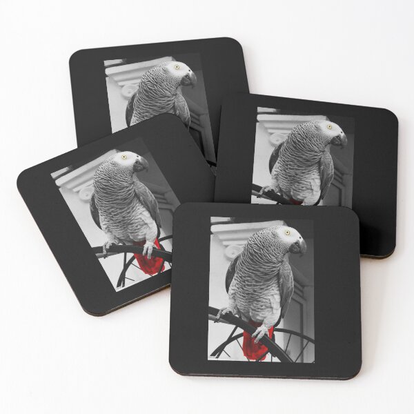 Item preview, African Grey Sticker designed and sold by raynesjestero.