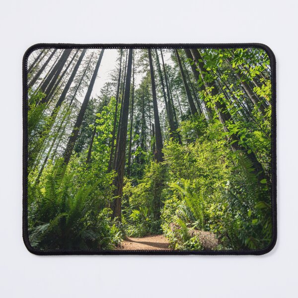 Item preview, Forest Hiking Trail Below a Canopy of Evergreen Trees designed and sold by Open Range Studios.