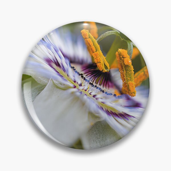 Item preview, Passion fruit  power designed and sold by PVphotography.