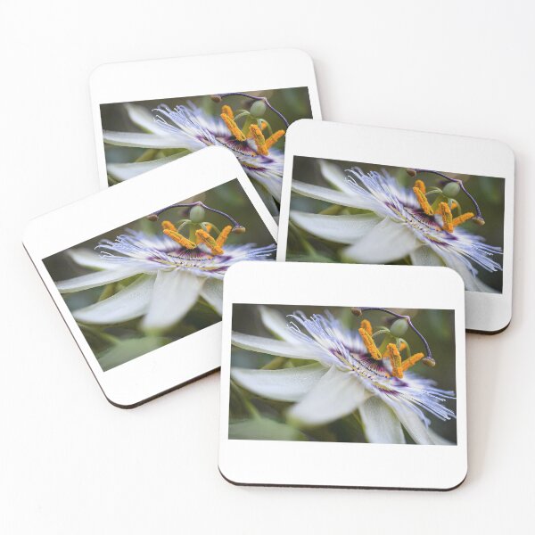 Item preview, Passion fruit  power designed and sold by PVphotography.