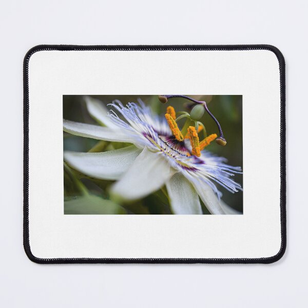 Item preview, Passion fruit  power designed and sold by PVphotography.