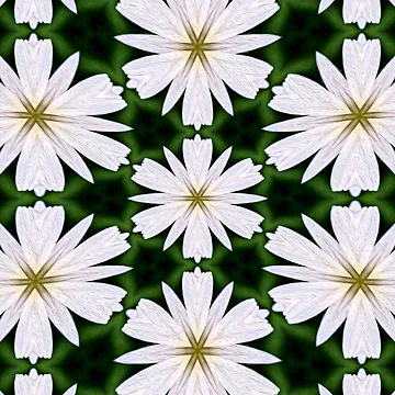 Artwork thumbnail, White Daisy Pattern by Patternflower