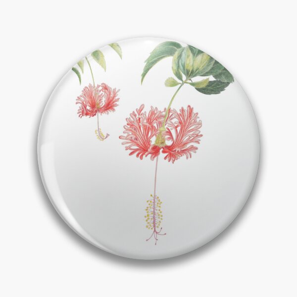 Item preview, Fringed Hibiscus designed and sold by YuNikDraw.