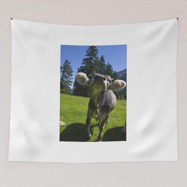 Item preview, young cow designed and sold by paolo amiotti.