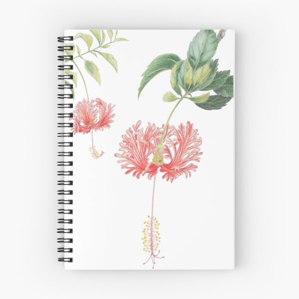 Item preview, Fringed Hibiscus designed and sold by YuNikDraw.