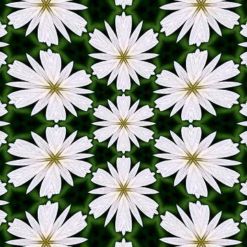 Artwork thumbnail, White Daisy Pattern by Patternflower