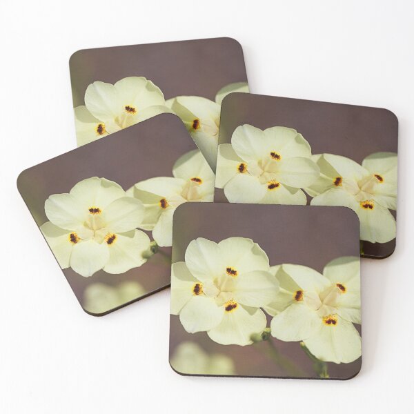 Item preview, Bicolor Butterfly Iris designed and sold by Joy Watson - Natural Light Photography .