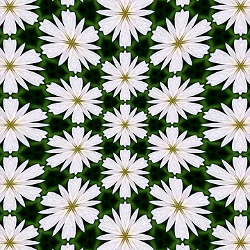 Artwork thumbnail, White Daisy Pattern by Patternflower