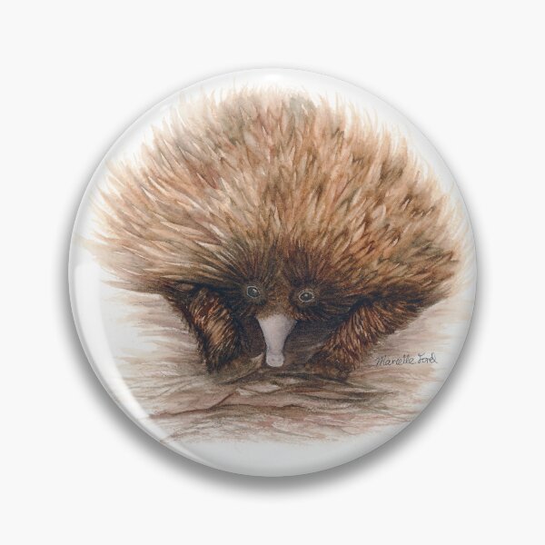 Item preview, Edwina the Echidna Australian Animal Watercolour painting designed and sold by artbymarielle.