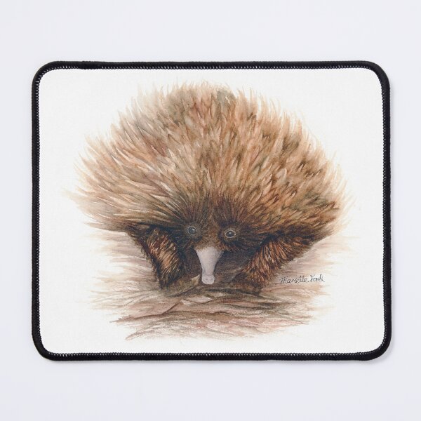 Item preview, Edwina the Echidna Australian Animal Watercolour painting designed and sold by artbymarielle.