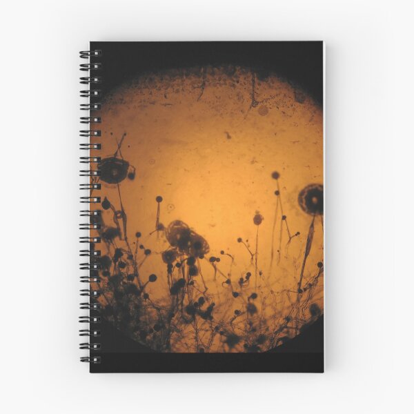 Item preview, Strawberry Moon designed and sold by elisabeth tainsh.