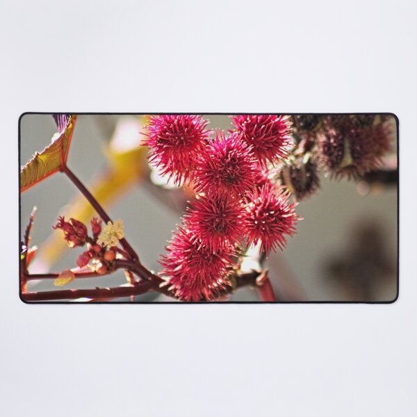 Item preview, Ricinus Fluffy Red Fruit Flowers Castor Oil Plant designed and sold by worldways.