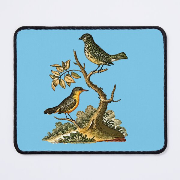 Item preview, SPOTTED GREEN TITMOUSE Bird designed and sold by MicbellaArt.