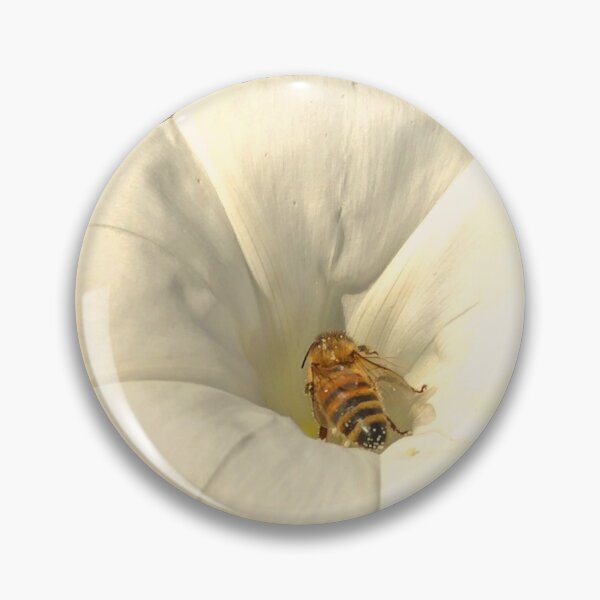 Item preview, Bindweed on a wild rose bush designed and sold by AdioraStore.