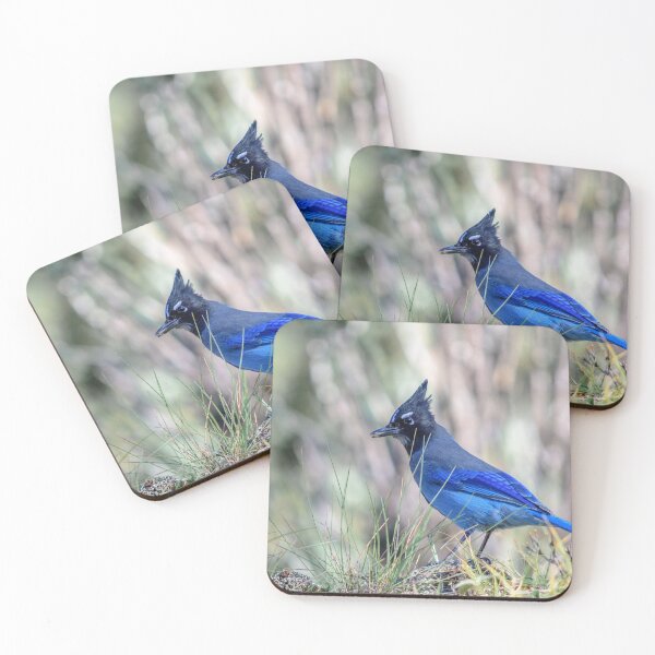 Item preview, Brilliant Blue Bird The Stellar's Jay designed and sold by Debra Martz.