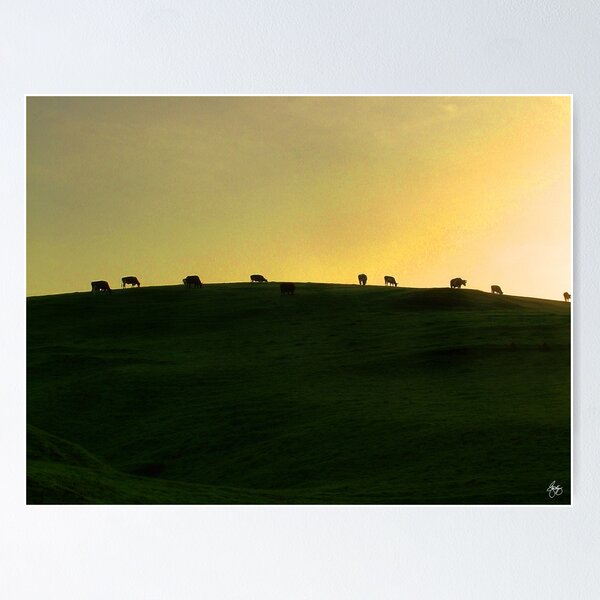 Item preview, California Coast Cows at Sunset designed and sold by Wayne King.