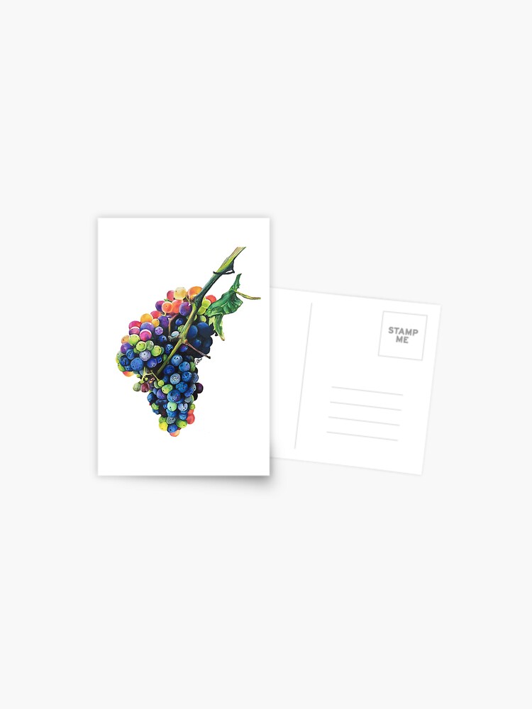 Rainbow Grapes Postcard for Sale by Sofia Elian