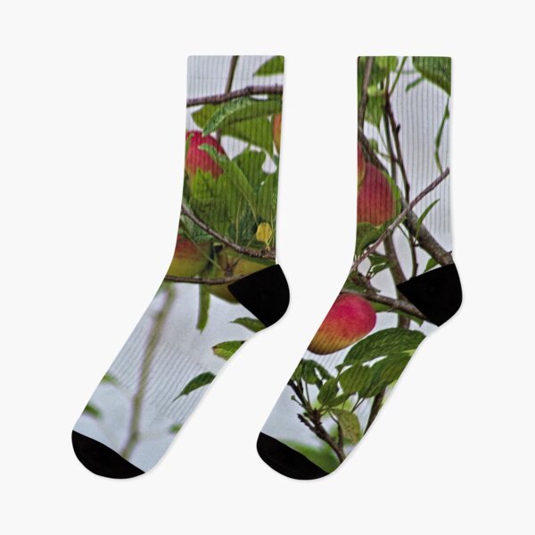 Item preview, Red Apples on Apple Tree Branches designed and sold by worldways.