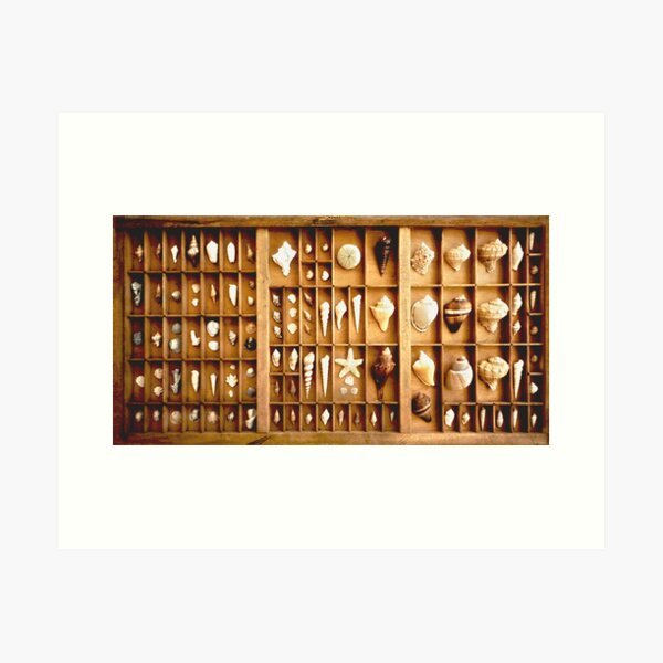 Printer's Drawer Art Print