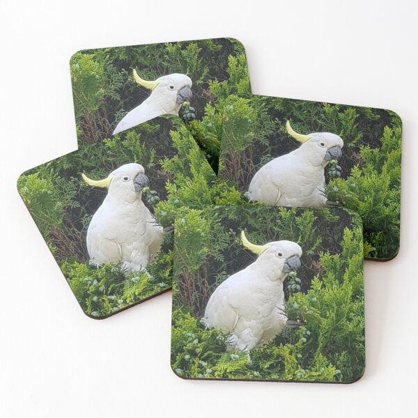 Item preview, Cockatoo designed and sold by RROW123.