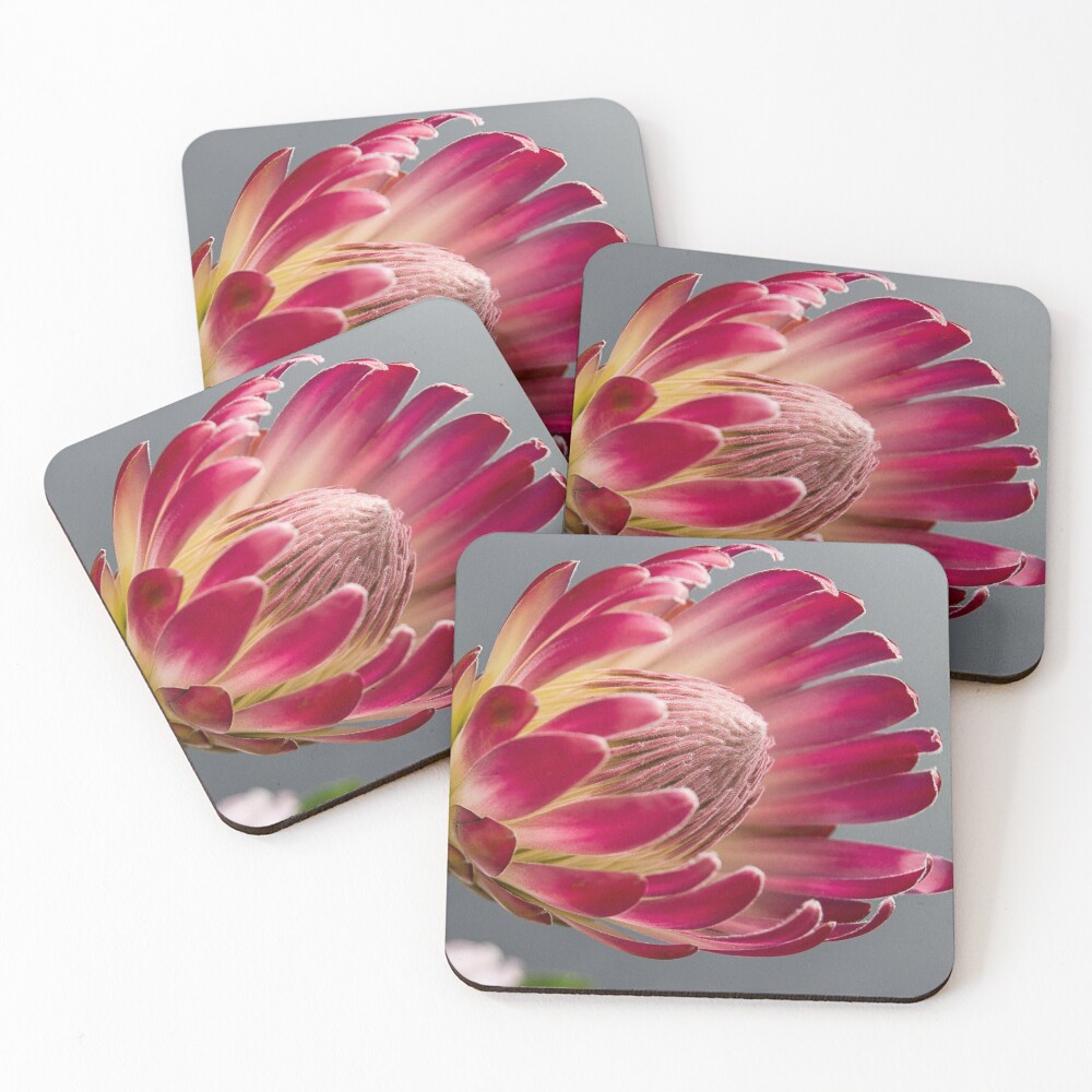 Item preview, Coasters (Set of 4) designed and sold by RiseAbove22.