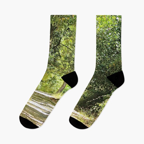 Item preview, Scenic Forest Trail Landscape designed and sold by worldways.