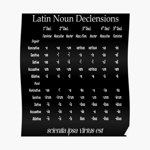 "Latin Noun Declension Chart" Poster For Sale By Gitae5b | Redbubble