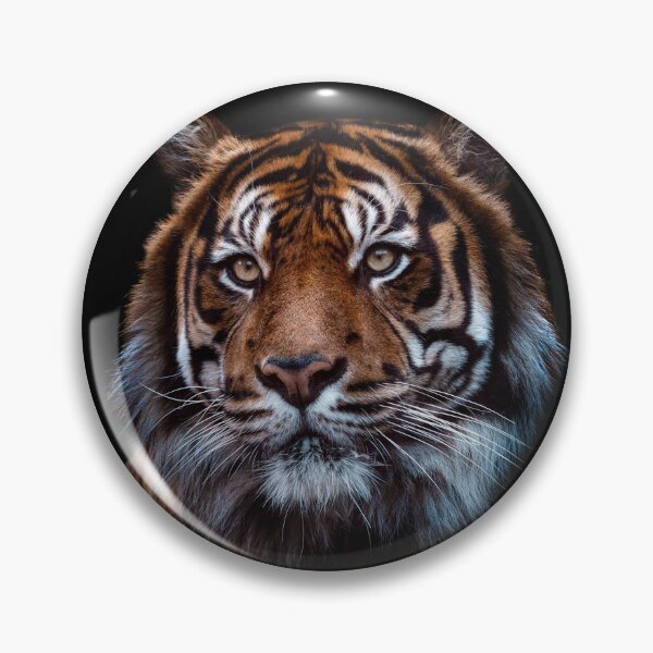 Item preview, Portrait of Sumatran tiger designed and sold by LubosChlubny.