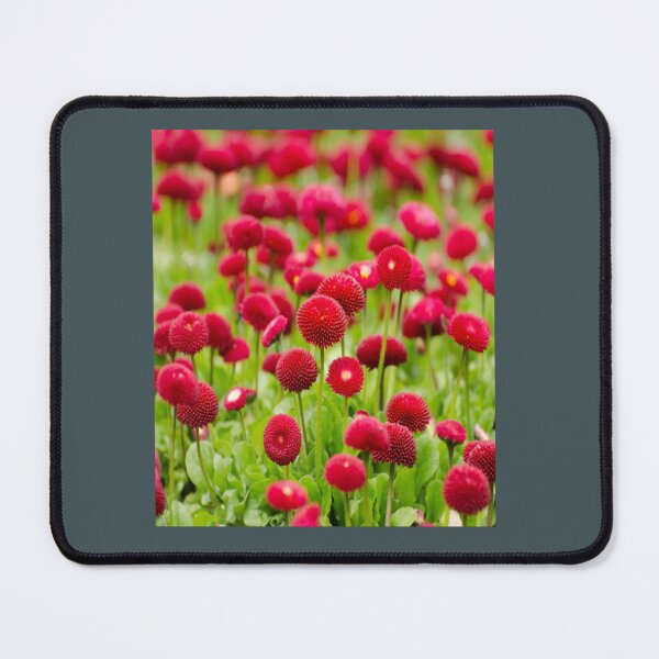 Item preview, Red Flower designed and sold by JanisBeahani.