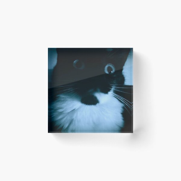 Item preview, black and white cat designed and sold by Francespoppy.