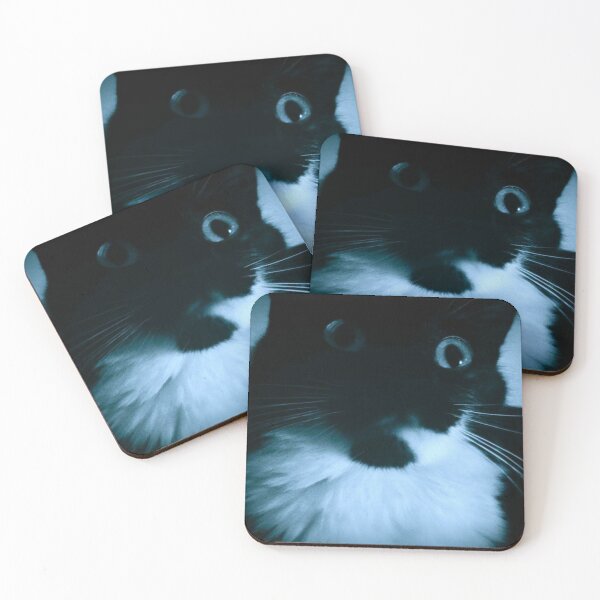 Item preview, black and white cat designed and sold by Francespoppy.