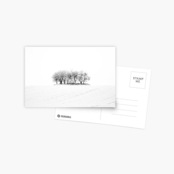 White Trees Postcard