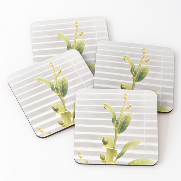 Item preview, Bright young lemon tree with white blinders background. Vegan lifestyle   designed and sold by Khala.