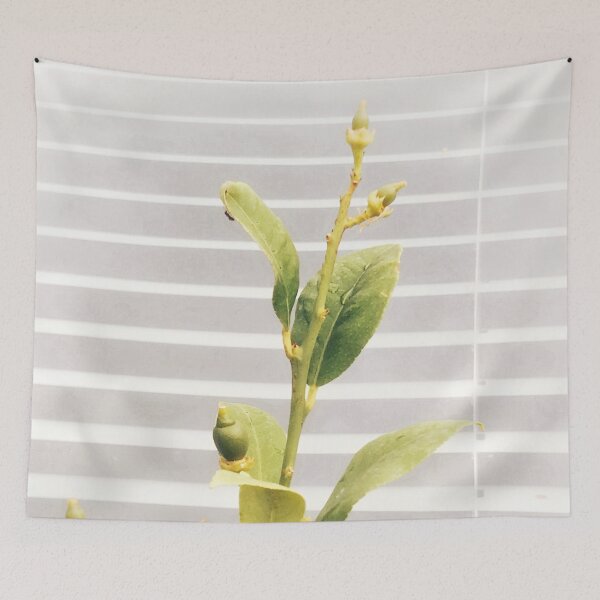 Item preview, Bright young lemon tree with white blinders background. Vegan lifestyle   designed and sold by Khala.