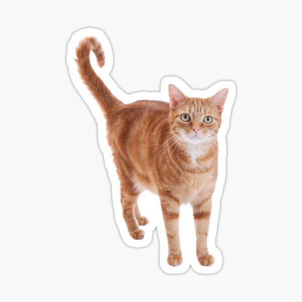 Item preview, Orange Tabby Cat designed and sold by Leslie Banks.