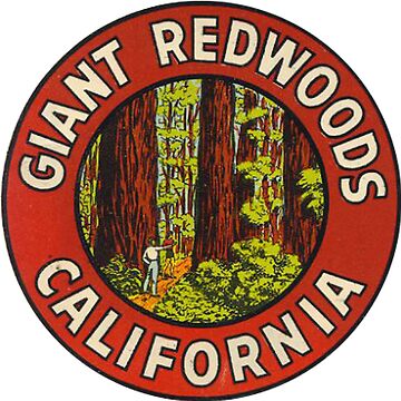 Artwork thumbnail, Giant Redwoods Of California Vintage Retro Travel Decal by MeLikeyTees