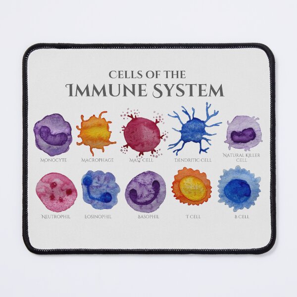 Item preview, Cells of the Immune System designed and sold by TineRose.