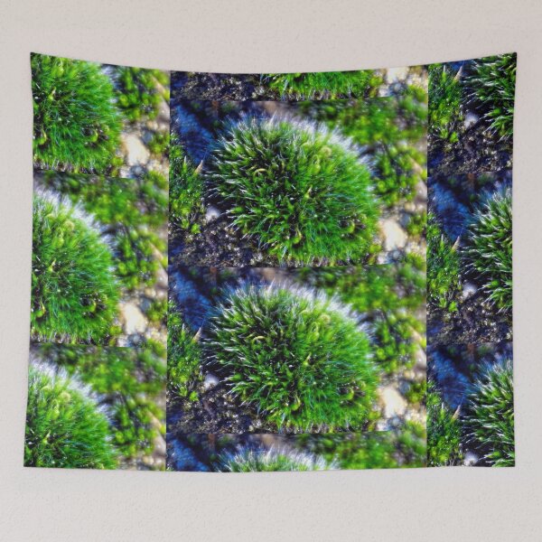 Item preview, Velvety Soft Moss on Stone wall....... designed and sold by lynn carter.