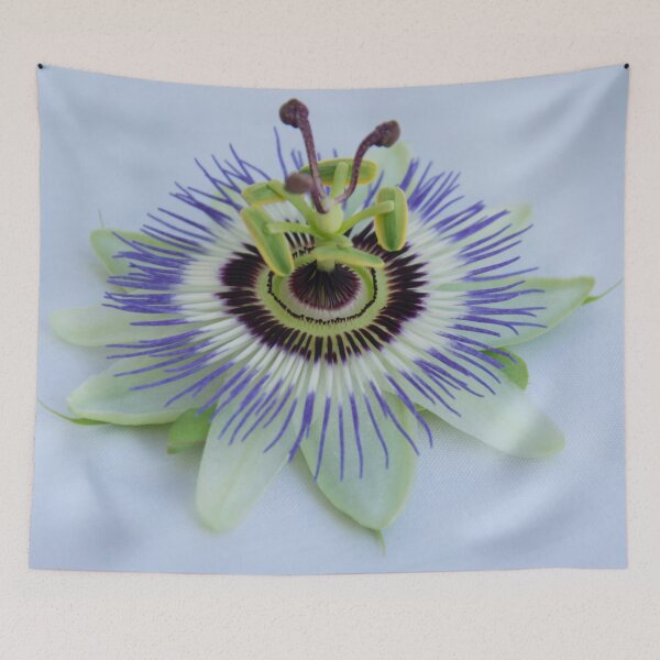 Item preview, pation flower designed and sold by TessAndre.