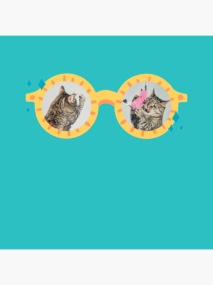 Download Matching Cat Pfp Pacify Wallpaper