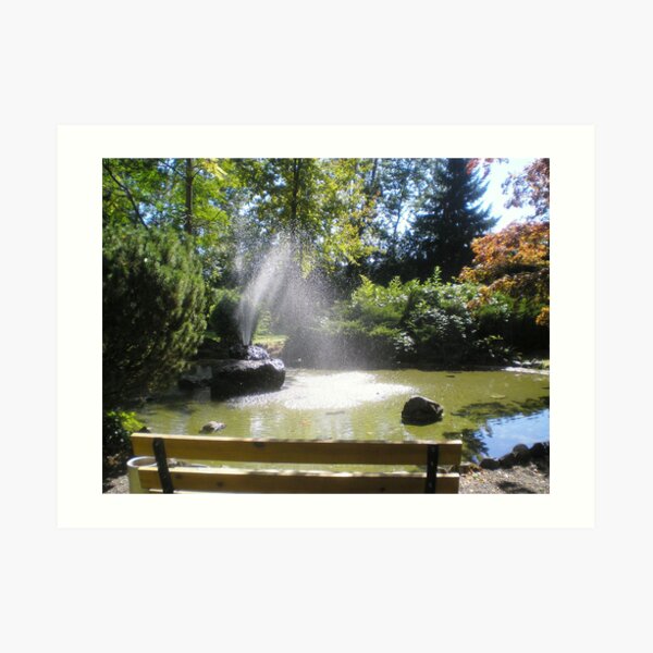 Serenity of an afternoon Art Print