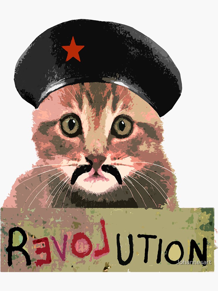 Funny Cute Revolution Kitten Cat activist protest tshirt