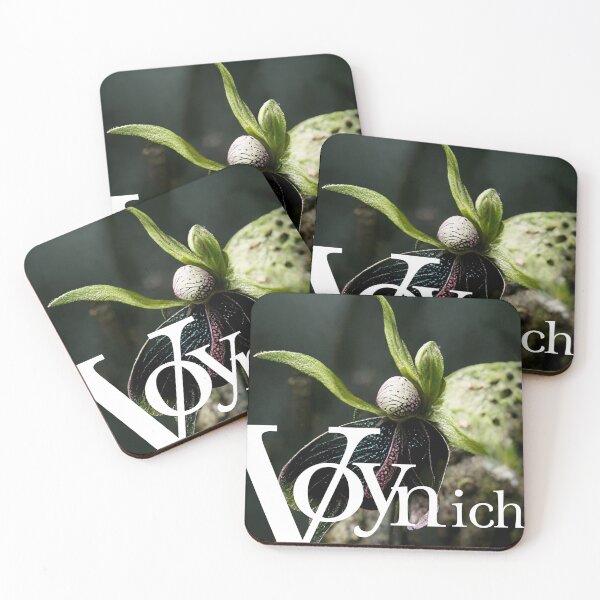 Item preview, Voynich Manuscript Series - Butterfly Mushroom Plant designed and sold by Mattsbotanics.