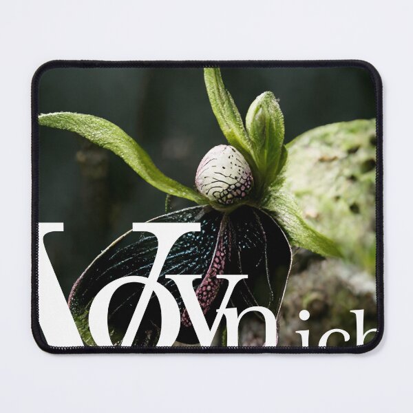 Item preview, Voynich Manuscript Series - Butterfly Mushroom Plant designed and sold by Mattsbotanics.