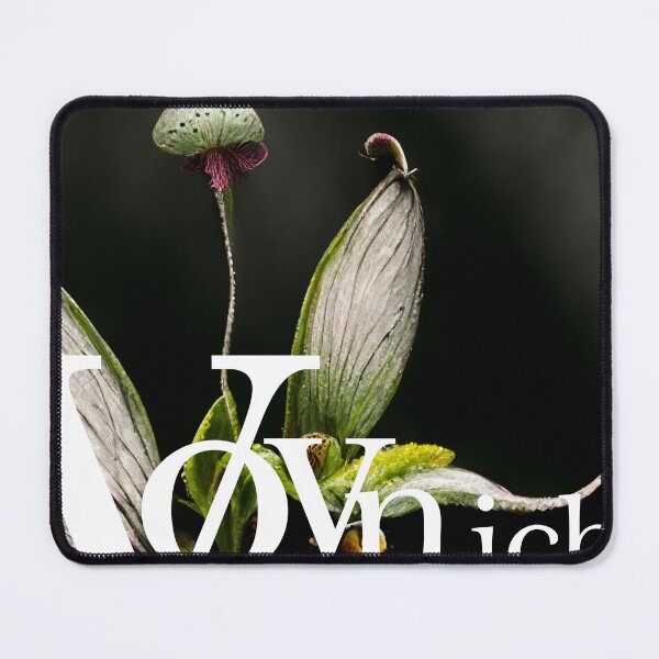 Item preview, Voynich Manuscript Series - Mantis Mushroom Plant designed and sold by Mattsbotanics.