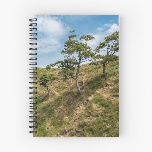 Item preview, Blue Ball Road Trees designed and sold by MarkSykes.