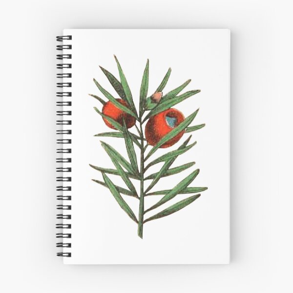 Item preview, evergreen branch designed and sold by xdekoxx.