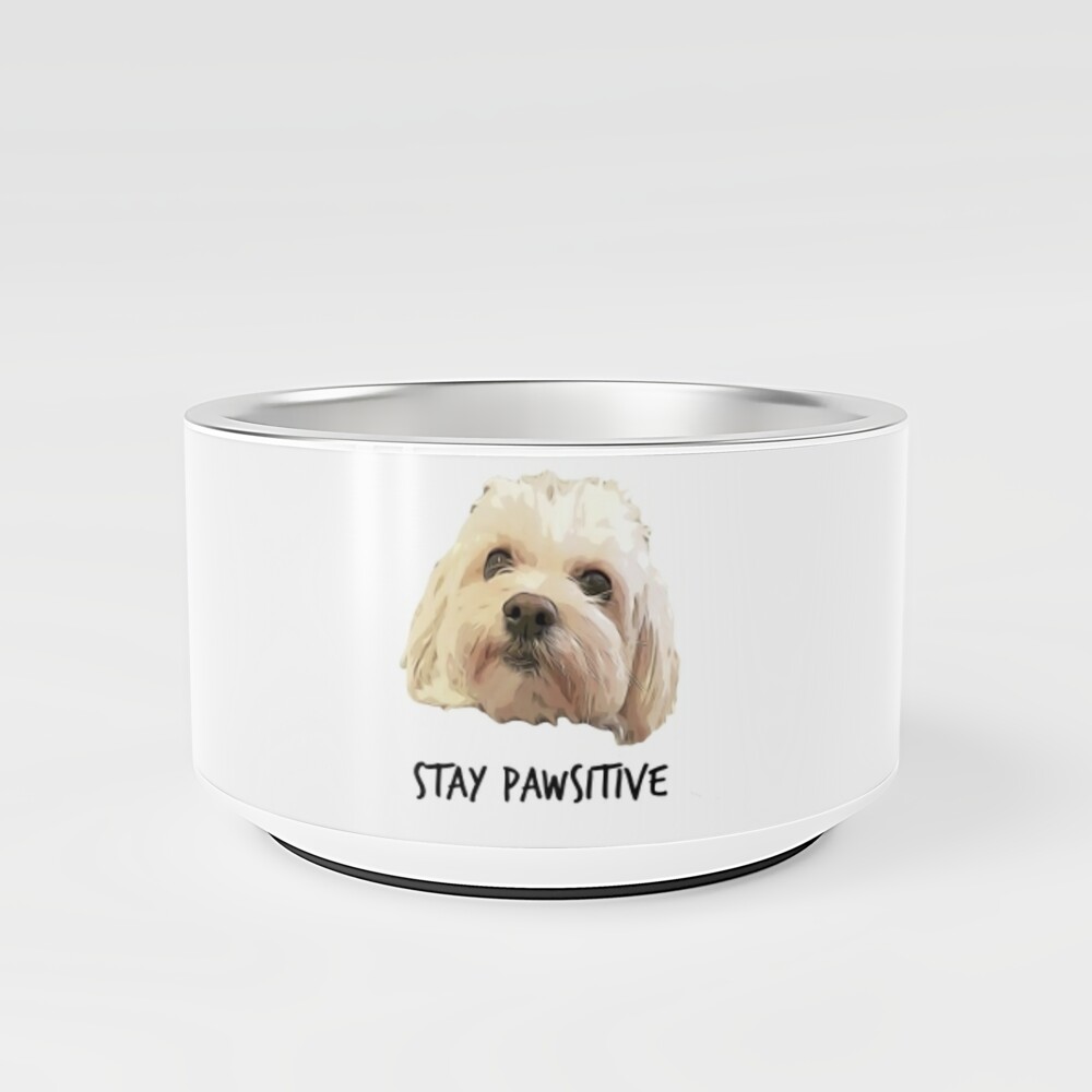 Dog Hoodie - Stay Pawsitive - Exclusive Design